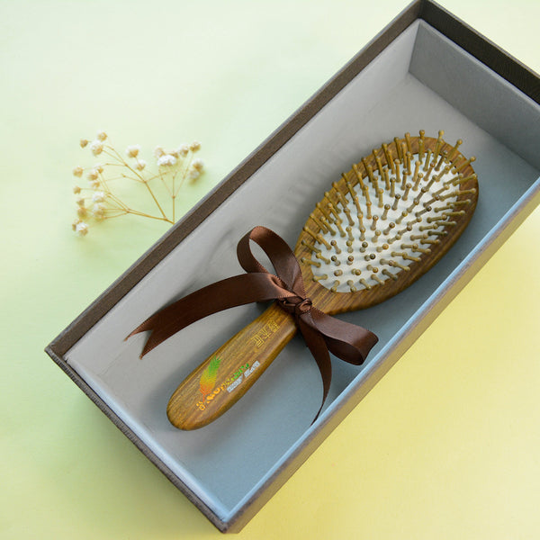 Autumn Feather Hair Brush